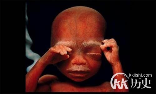 生命孕育全过程图解:揭秘女人身体里神奇的照片