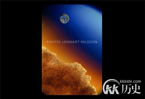 生命孕育全过程图解:揭秘女人身体里神奇的照片