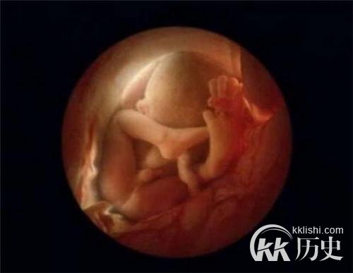 生命孕育全过程图解:揭秘女人身体里神奇的照片