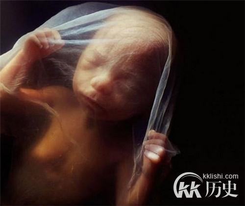 生命孕育全过程图解:揭秘女人身体里神奇的照片