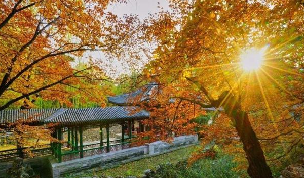 被低估的五位宋代词人,他们分别是谁呢