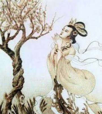 她是“红颜祸水”的典型代表，长的太漂亮三个国家因此灭亡