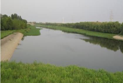 贾鲁治理水灾的故事:他在治水期间都遇到什么样的困难