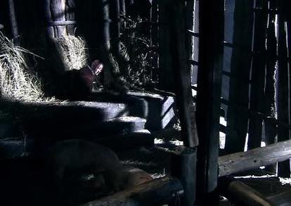 吕后折磨戚夫人的过程是什么样的 剃光头带铁圈连儿子都杀了