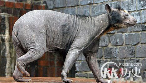 慎入！传说中那些让人毛骨悚然可怕的怪物