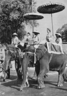 反抗古代中国东汉政权的两个姐妹：征氏姐妹的生平事迹简介