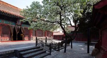 古代妃子是一人一个宫殿的吗