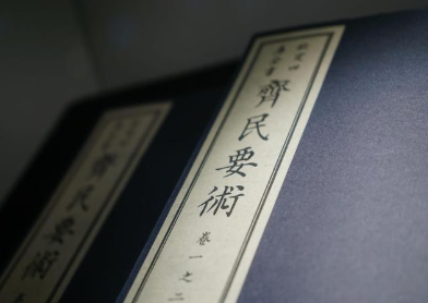 魏晋南北朝时期的主食是什么