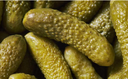 魏晋南北朝时期的主食是什么