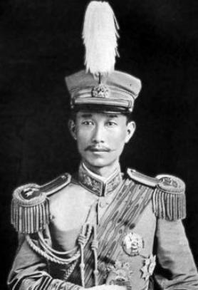 轰动民国的“小凤仙”应该被世人唾弃吗