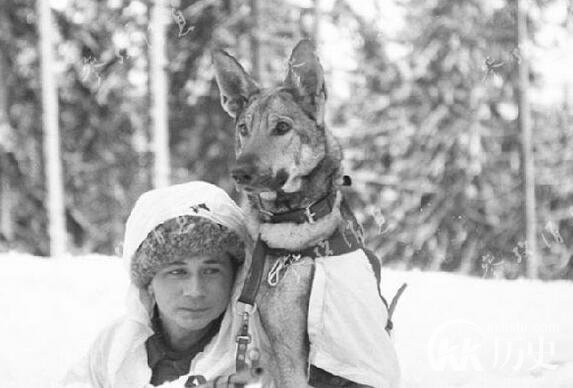 苏联战胜小国芬兰付出的代价 伤亡百万人
