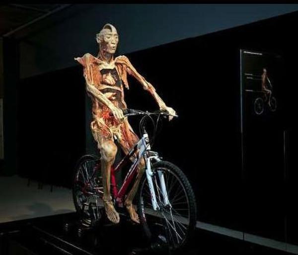 俄罗斯恐怖人体标本展