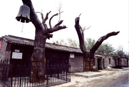 仰韶文化遗址 距今最早约7000年