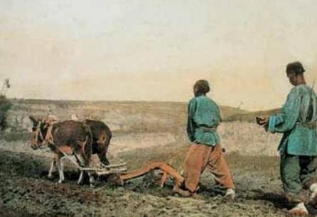 清朝时期究竟发生了什么事情 为何人口会从7000万突然间就增到4亿呢