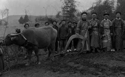 清朝时期究竟发生了什么事情 为何人口会从7000万突然间就增到4亿呢