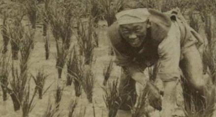 清朝时期究竟发生了什么事情 为何人口会从7000万突然间就增到4亿呢