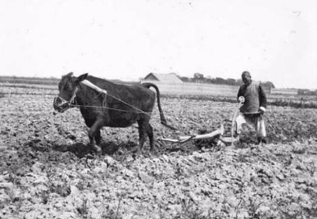 清朝时期究竟发生了什么事情 为何人口会从7000万突然间就增到4亿呢