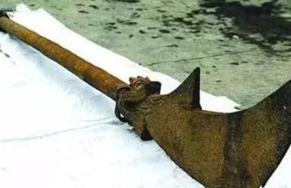 古墓出土偃月刀,影响了人们对关羽看法