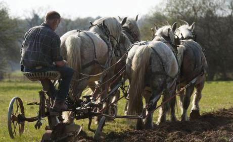 满清政府为何不实行君主立宪制 究竟是什么原因导致的