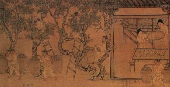 少康中兴：稳固夏朝统治，奠定了世袭制的地位