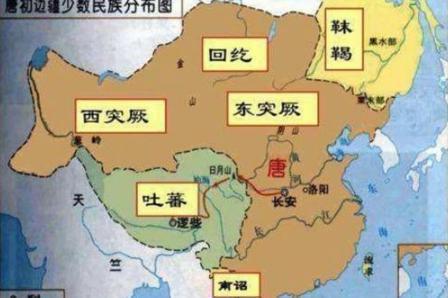 苏定方有过败绩吗