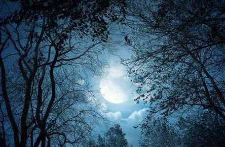 索德格朗：北欧文学史上最早的现代主义作家之一