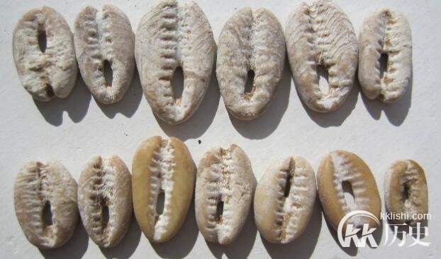 商朝的货币：商朝时期有多少种货币可以使用？