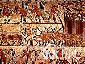 商朝历史：商殷时期主要的社会经济是“农作物”？