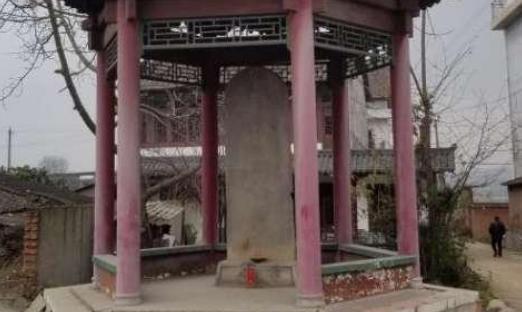 “一世之杰”还是“强而无义”