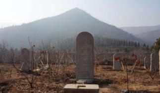 西汉崛起之“文”是什么