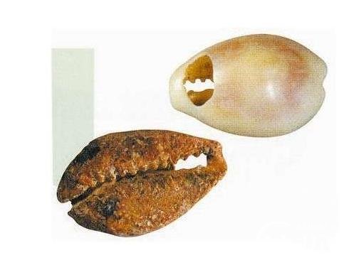 商朝历史:深入解读商殷时期的官工商业的发展形态