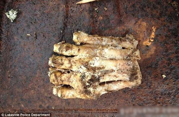 美国发现疑似大脚怪脚掌残肢