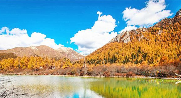 盛唐最负盛名的诗人之一：揭秘王维的开挂人生