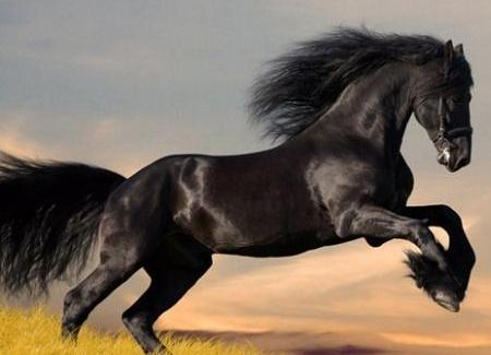 关羽的坐骑叫做赤兔马 那么张飞骑的马叫什么名字