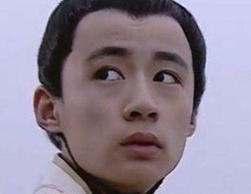 历史上被立为太子没继位便枉死的有哪些人