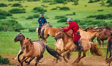 游牧民族骑马放牧不种地 他们顿顿吃肉吗