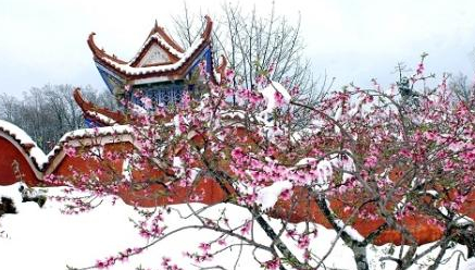 古代爱情故事之息夫人与楚王:莫以今时宠,能忘旧日恩-趣历史网