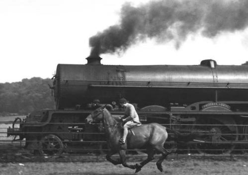 董仲舒的三大思想是什么