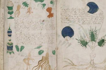 伏尼契手稿真正内容是什么