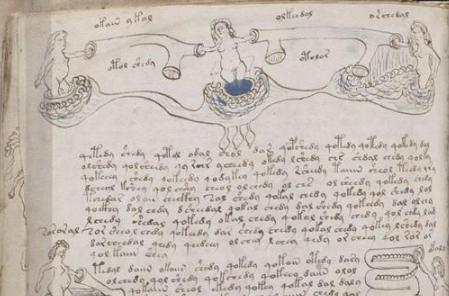 伏尼契手稿真正内容是什么