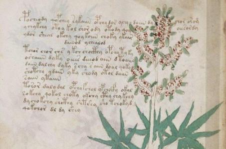 伏尼契手稿真正内容是什么