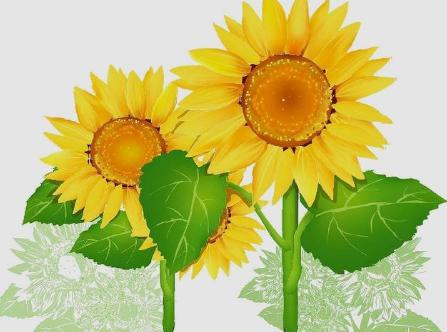 有关于丝绸之路的冷知识有多少 看完就知道了