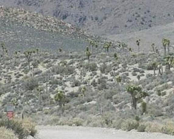 51区简介 地理位置在美国哪一个州