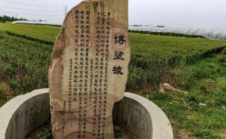 曹操出征时夏侯惇驻守差点全军覆没，曹操不罚反赏是什么操作