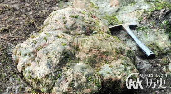 巨型恐龙足迹在四川被发现：属恐龙足迹的重大发现