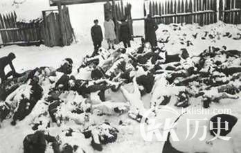 苏联战胜小国芬兰付出代价 伤亡百万人