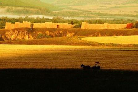 白起活埋40万人是真的吗