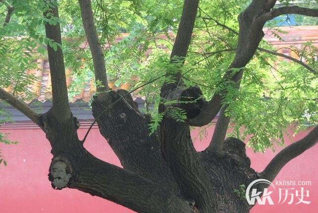 历史揭秘：明朝崇祯皇帝上吊死后子女的下落之迷