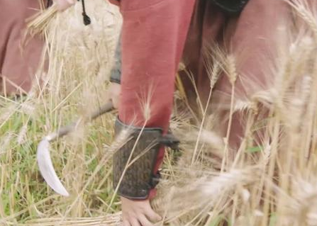 王翦家族统领秦国六十万大军的时候 王翦为何没有反秦自立