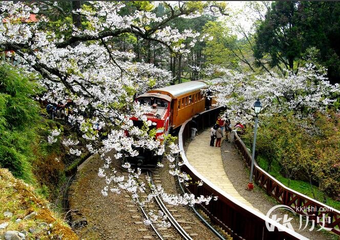 台湾民间传说:关于阿里山神木的传说